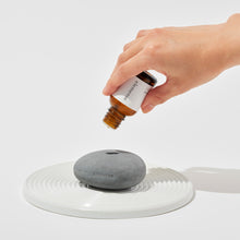 Load image into Gallery viewer, Diffuser Oil: suou